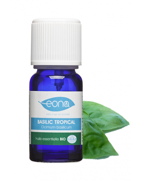 huile essentielle de basilic tropical bio eona