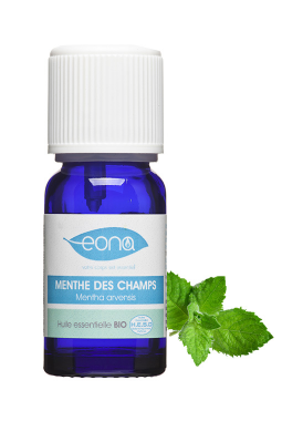 Organic Wild Mint (Cornmint) Essential Oil