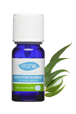 Organic Eucalyptus globulus Essential Oil